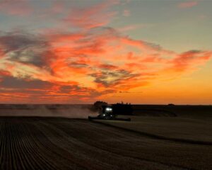 Photos courtesy Kate Winquist, Oyen Echo